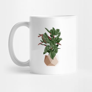 Calathea Freddie Plant Mug